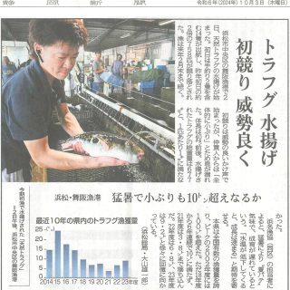 舞阪漁港トラフグ 水揚げ 初競り（中日新聞・静岡新聞）