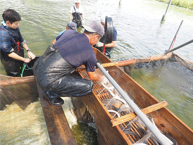 鰻 うなぎ 鰻販売 鰻加工品 海老 浜名湖 浜松 海産物 自社鰻養殖場 鰻と海産物の海老仙