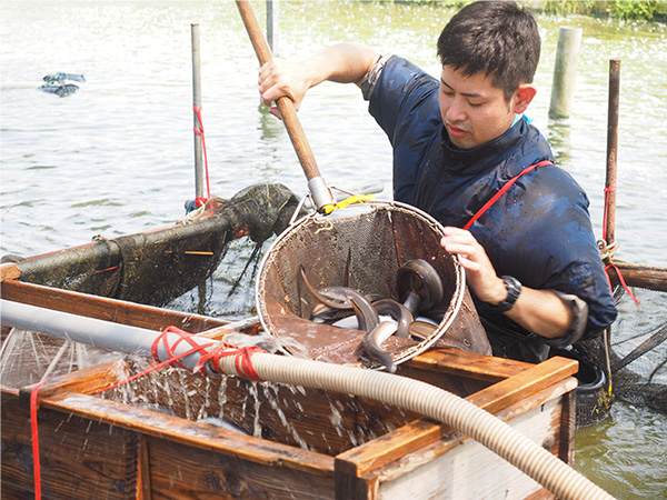 鰻 うなぎ 鰻販売 鰻加工品 海老 浜名湖 浜松 海産物 自社鰻養殖場 鰻と海産物の海老仙